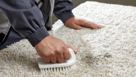 Professional Rug Cleaning Beaconsfield